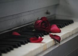 Piano mit Rose